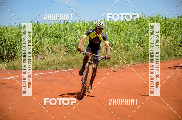 Buy your photos of the eventALIGA on Fotop