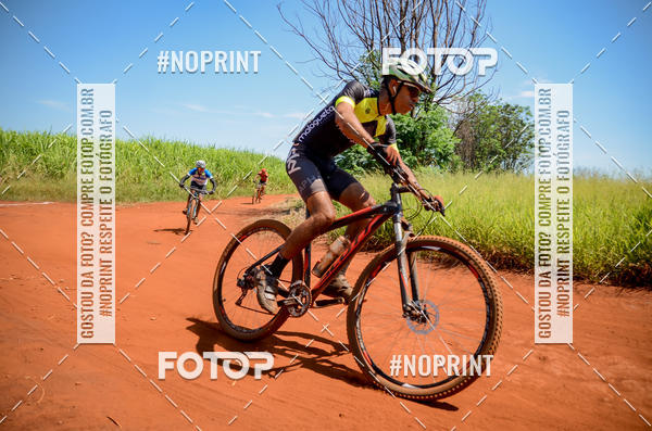 Buy your photos of the eventALIGA on Fotop