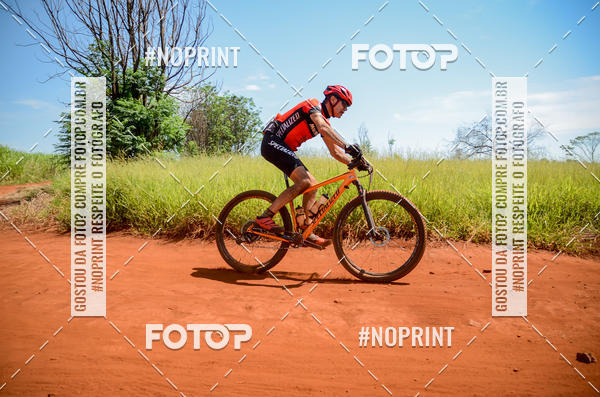 Buy your photos of the eventALIGA on Fotop