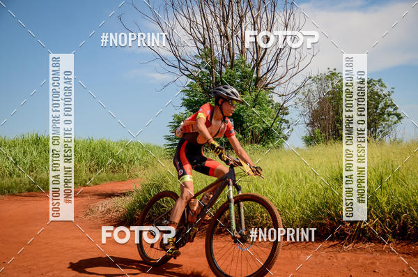 Buy your photos of the eventALIGA on Fotop