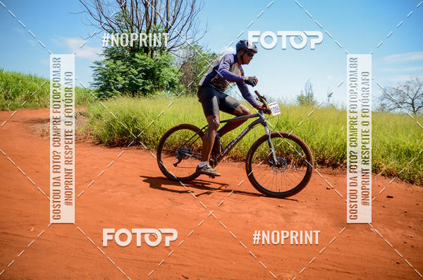 Buy your photos of the eventALIGA on Fotop