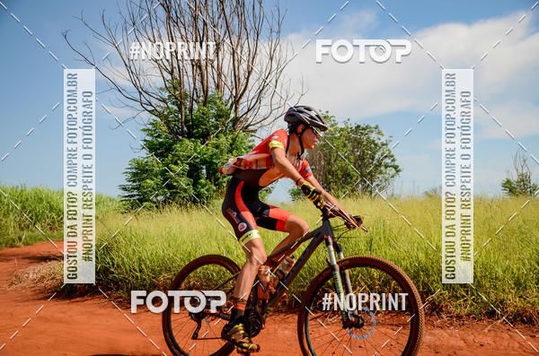 Buy your photos of the eventALIGA on Fotop