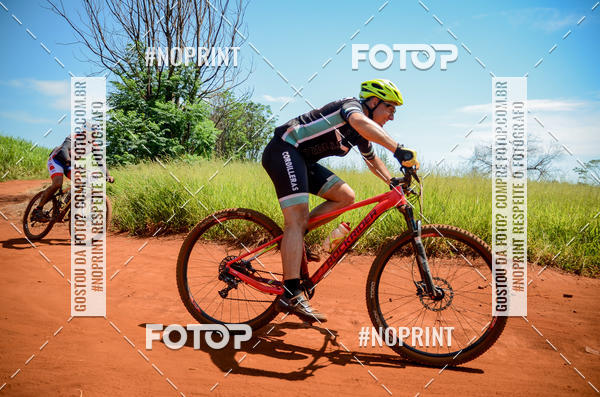 Buy your photos of the eventALIGA on Fotop