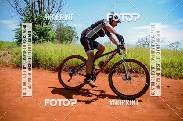 Buy your photos of the eventALIGA on Fotop