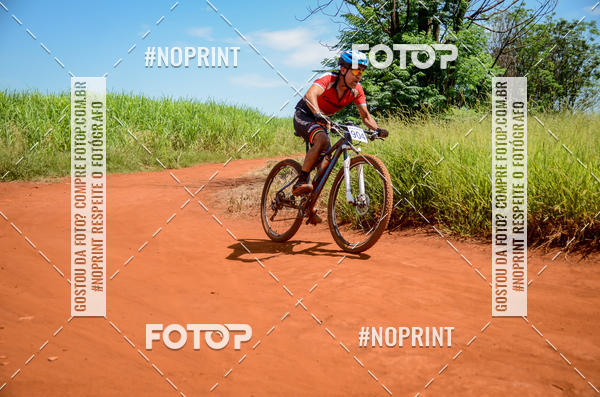 Buy your photos of the eventALIGA on Fotop