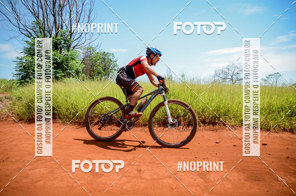 Buy your photos of the eventALIGA on Fotop