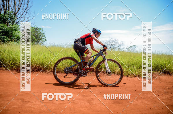 Buy your photos of the eventALIGA on Fotop