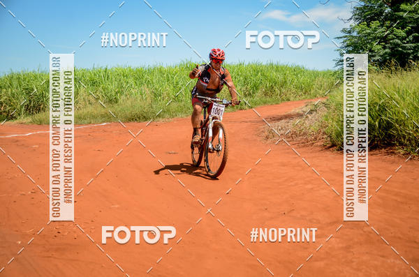 Buy your photos of the eventALIGA on Fotop