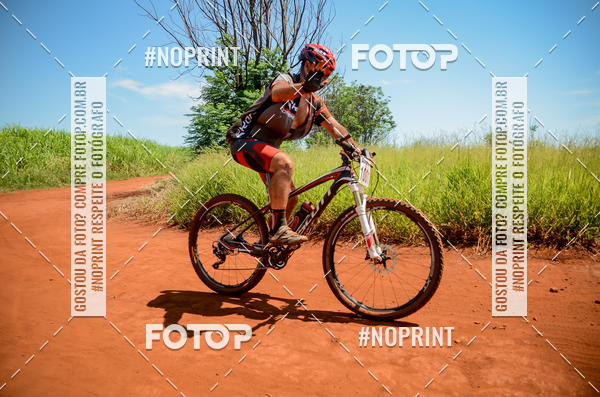 Buy your photos of the eventALIGA on Fotop