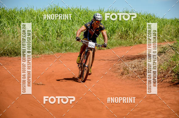 Buy your photos of the eventALIGA on Fotop