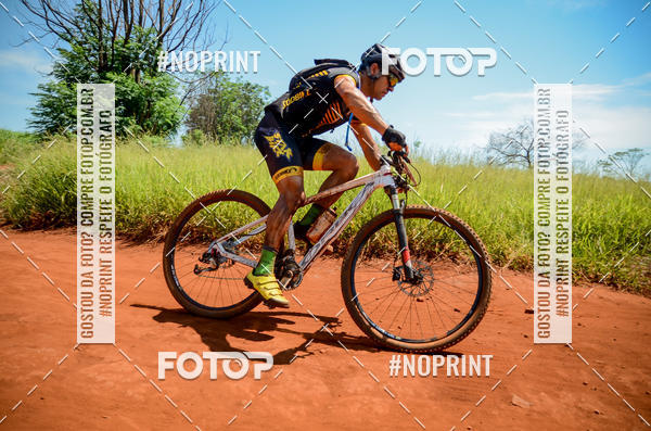 Buy your photos of the eventALIGA on Fotop