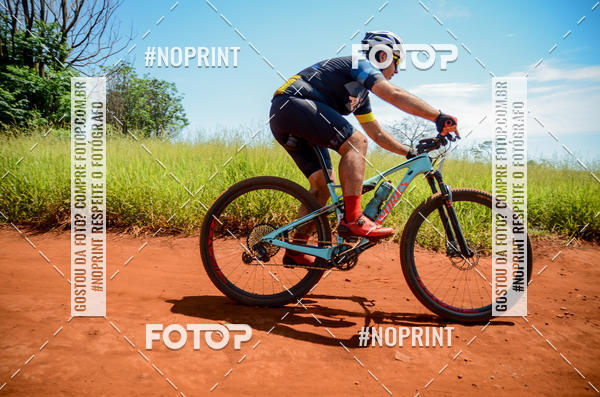 Buy your photos of the eventALIGA on Fotop