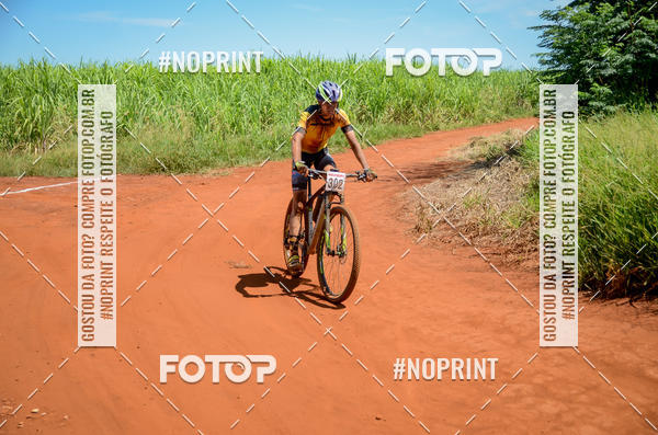 Buy your photos of the eventALIGA on Fotop