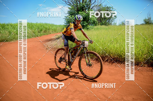 Buy your photos of the eventALIGA on Fotop