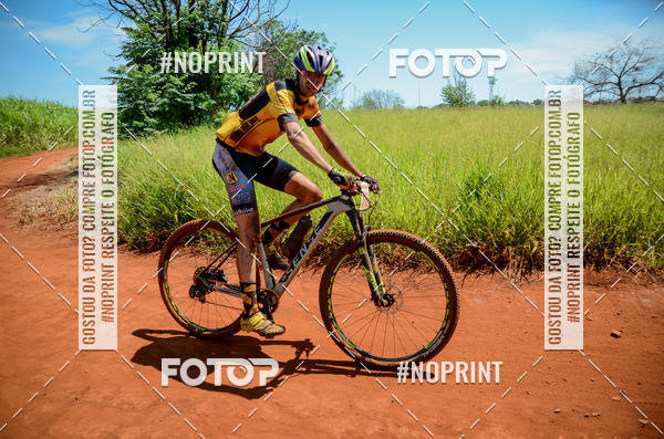 Buy your photos of the eventALIGA on Fotop