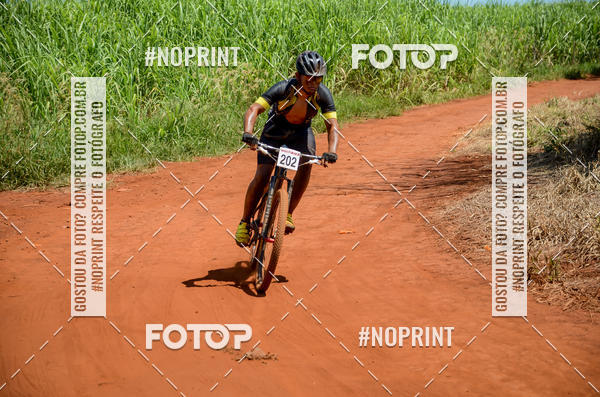 Buy your photos of the eventALIGA on Fotop