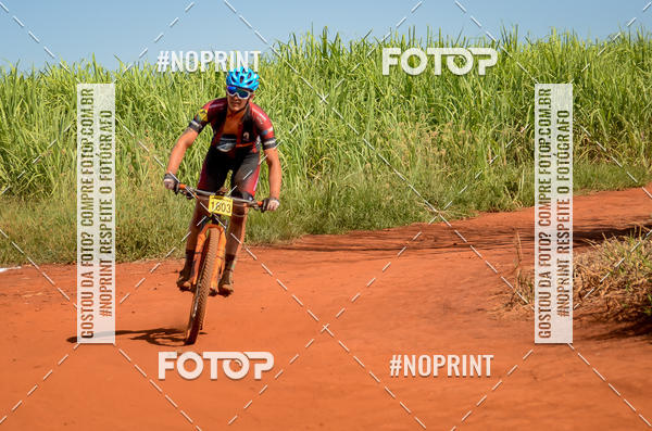 Buy your photos of the eventALIGA on Fotop