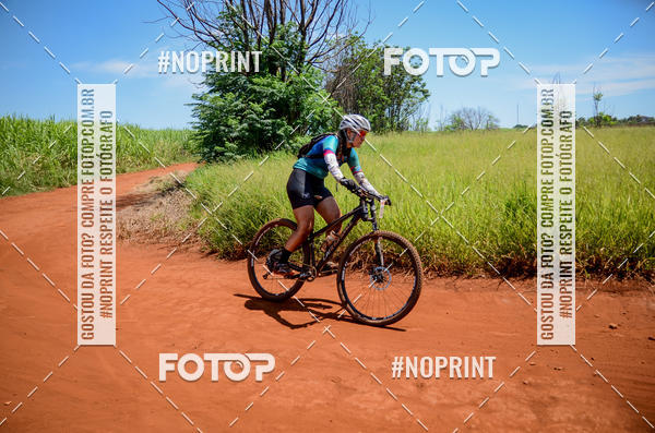 Buy your photos of the eventALIGA on Fotop