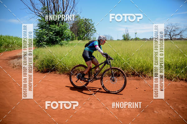 Buy your photos of the eventALIGA on Fotop