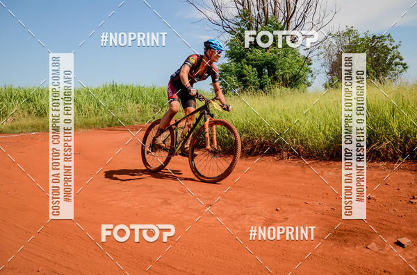 Buy your photos of the eventALIGA on Fotop