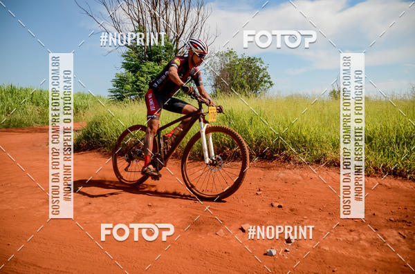 Buy your photos of the eventALIGA on Fotop