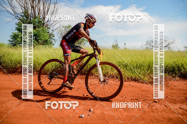 Buy your photos of the eventALIGA on Fotop