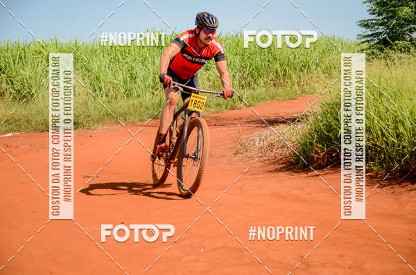 Buy your photos of the eventALIGA on Fotop