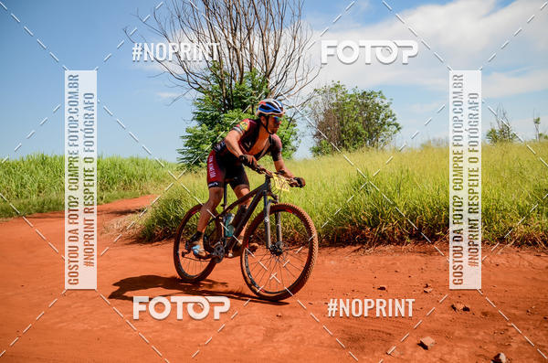 Buy your photos of the eventALIGA on Fotop