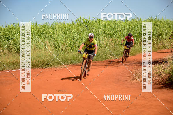 Buy your photos of the eventALIGA on Fotop