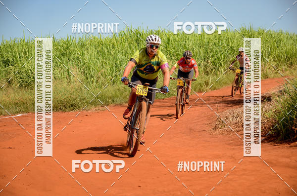 Buy your photos of the eventALIGA on Fotop