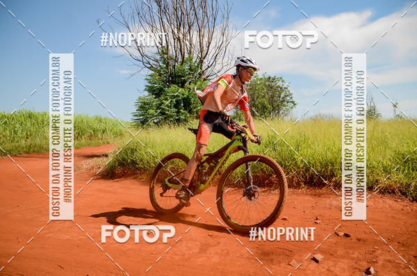 Buy your photos of the eventALIGA on Fotop