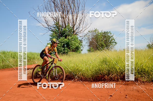 Buy your photos of the eventALIGA on Fotop