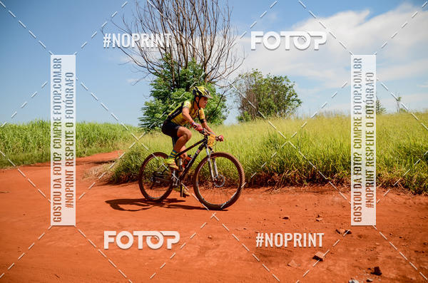 Buy your photos of the eventALIGA on Fotop