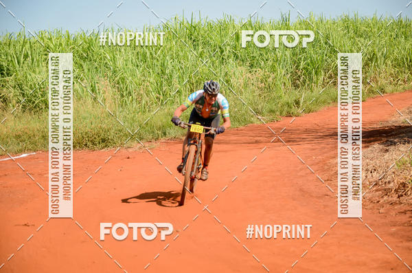 Buy your photos of the eventALIGA on Fotop