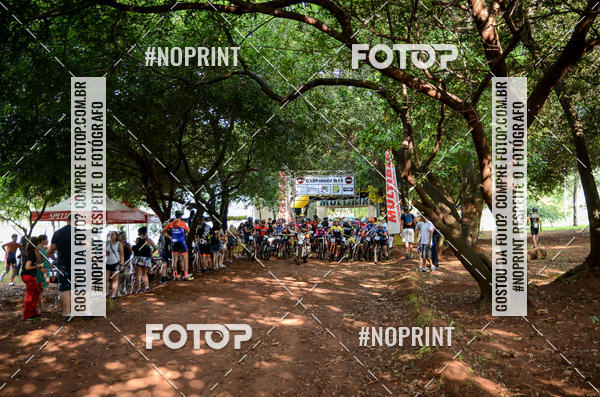 Buy your photos of the eventALIGA on Fotop