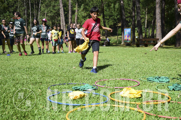 Buy your photos of the eventNR1 - ADJ - 29/01 a 03/02/19 on Fotop