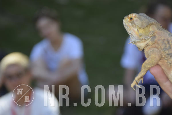 Buy your photos of the eventNR1 - ADJ - 29/01 a 03/02/19 on Fotop