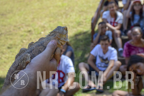 Buy your photos of the eventNR1 - ADJ - 29/01 a 03/02/19 on Fotop