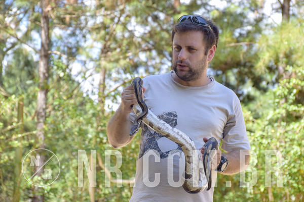 Buy your photos of the eventNR1 - ADJ - 29/01 a 03/02/19 on Fotop