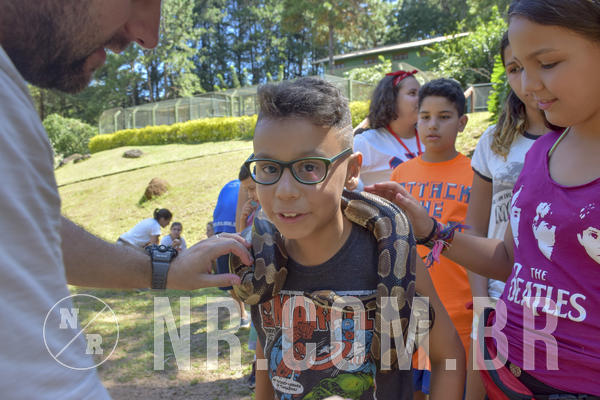 Buy your photos of the eventNR1 - ADJ - 29/01 a 03/02/19 on Fotop