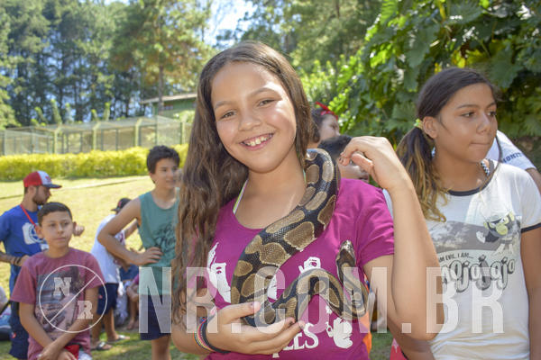 Buy your photos of the eventNR1 - ADJ - 29/01 a 03/02/19 on Fotop