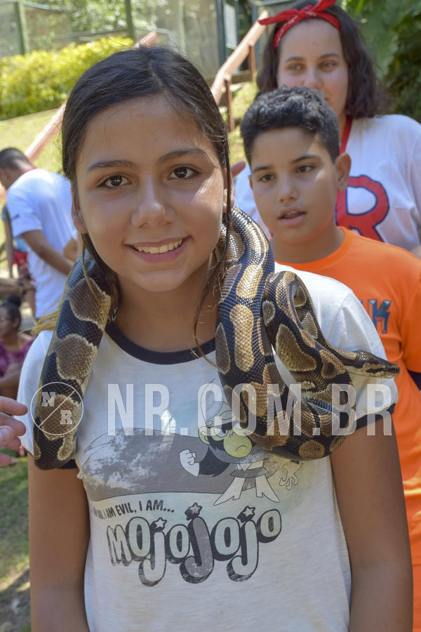 Buy your photos of the eventNR1 - ADJ - 29/01 a 03/02/19 on Fotop