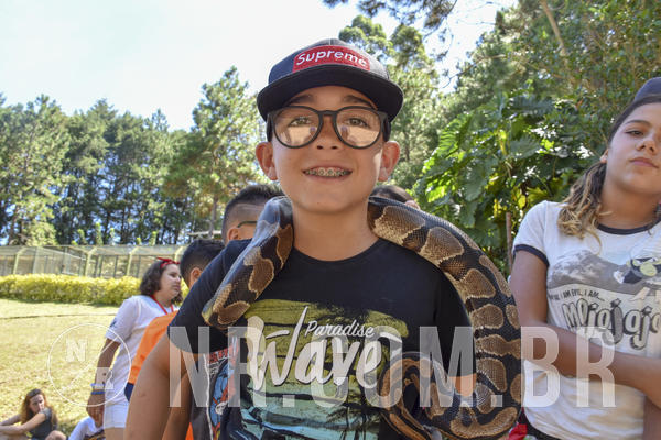 Buy your photos of the eventNR1 - ADJ - 29/01 a 03/02/19 on Fotop