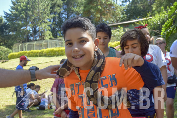 Buy your photos of the eventNR1 - ADJ - 29/01 a 03/02/19 on Fotop