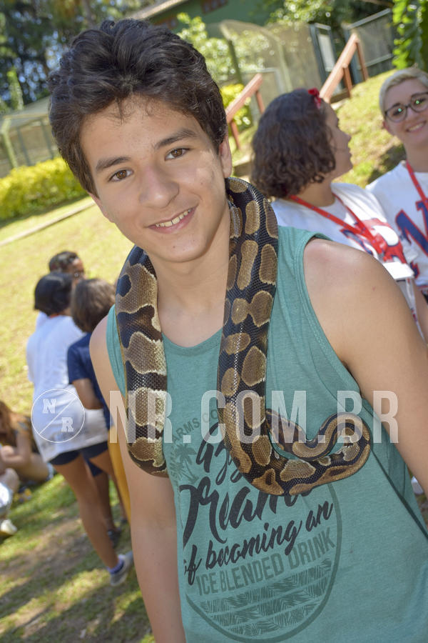 Buy your photos of the eventNR1 - ADJ - 29/01 a 03/02/19 on Fotop