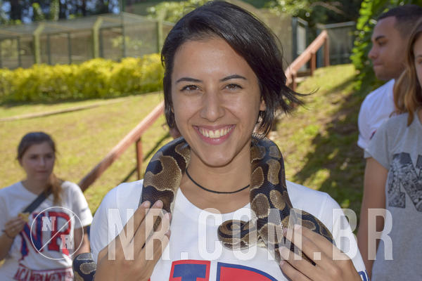 Buy your photos of the eventNR1 - ADJ - 29/01 a 03/02/19 on Fotop