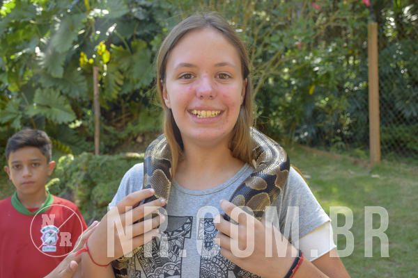 Buy your photos of the eventNR1 - ADJ - 29/01 a 03/02/19 on Fotop