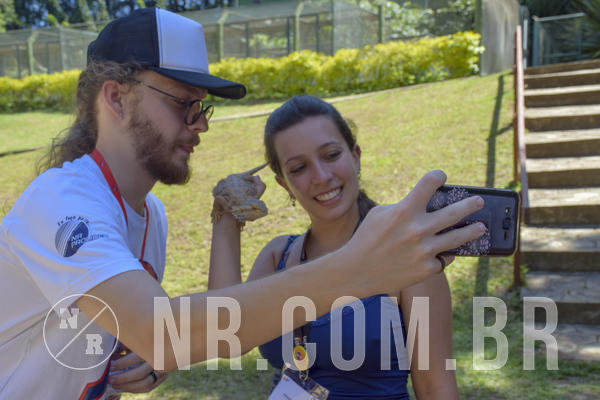 Buy your photos of the eventNR1 - ADJ - 29/01 a 03/02/19 on Fotop