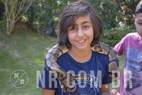 Buy your photos of the eventNR1 - ADJ - 29/01 a 03/02/19 on Fotop