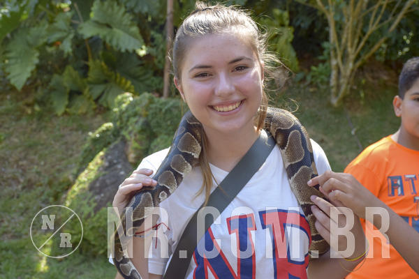 Buy your photos of the eventNR1 - ADJ - 29/01 a 03/02/19 on Fotop